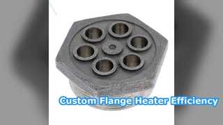 Custom Flange Heater Stainless Steel Forging High Efficiency